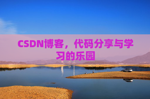 CSDN博客，代码分享与学习的乐园